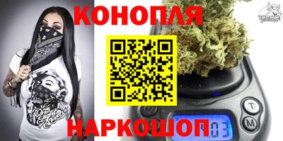 mdpv Можга