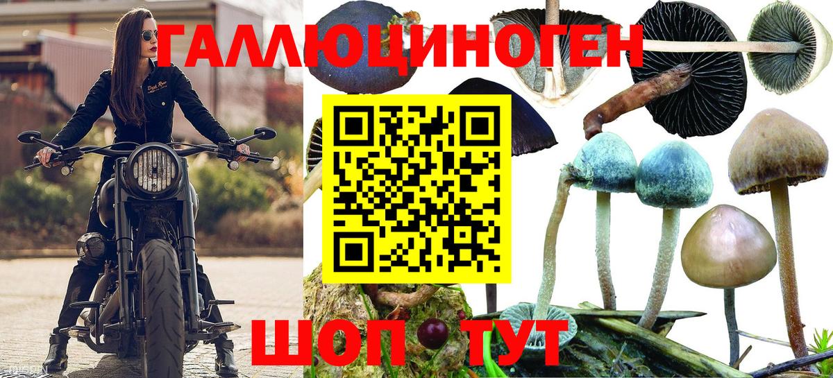 Псилоцибиновые грибы MAGIC MUSHROOMS Гусь-Хрустальный
